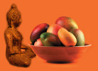 The Joy of Mindful Cooking 